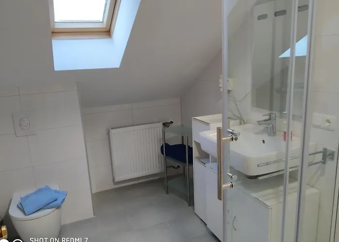 Bussard Daire Patersberg