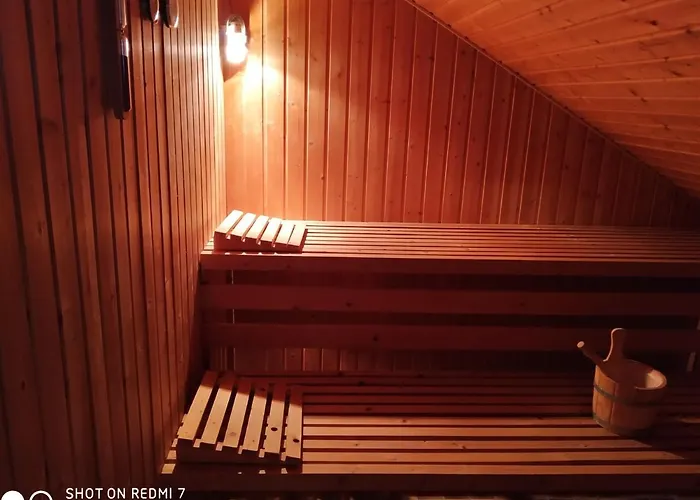 Bussard * Patersberg